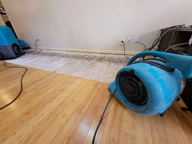 Professional Burst Pipe Water Damage technician working in Middleburg, VA